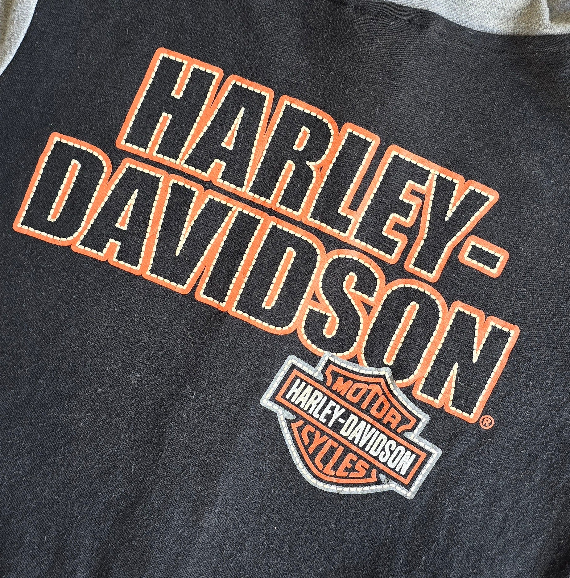 Harley Davidson Hoodie (5)