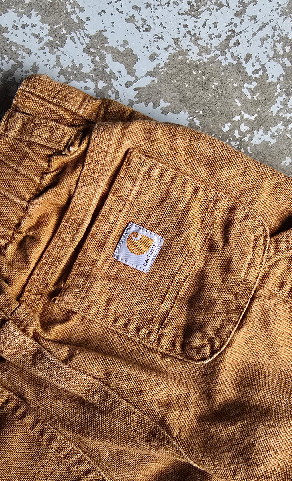 Carhartt Canvas Pants (12/18M)