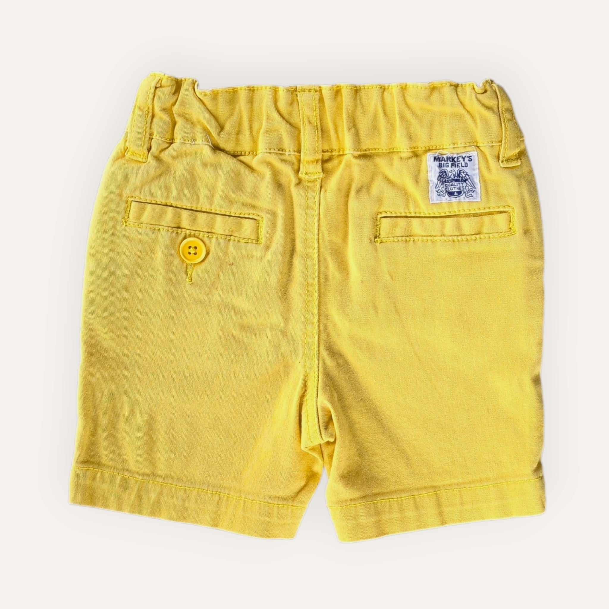 Dickies Classic Yellow Workwear Shorts (1-2)