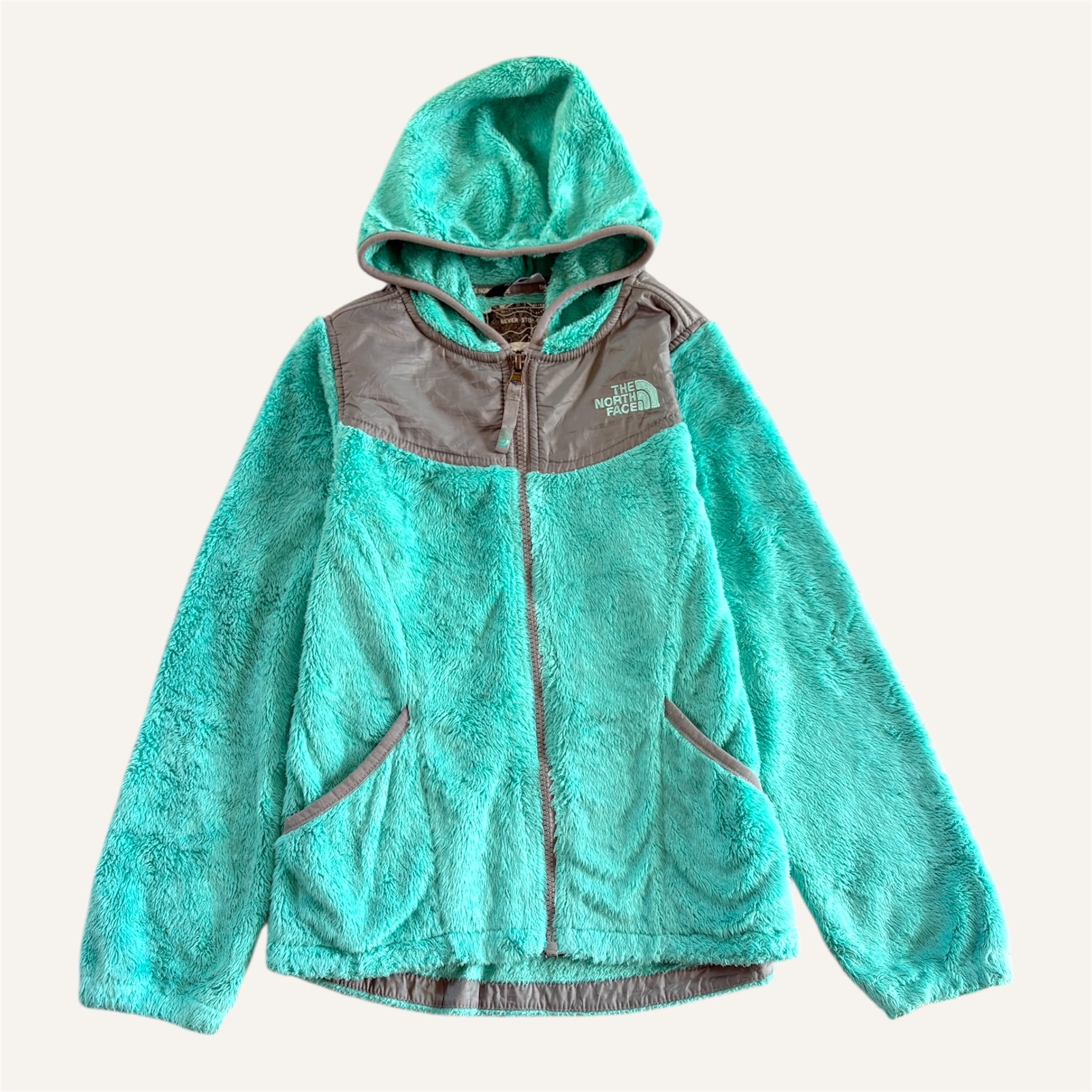 Teal Teddy Fleece North Face Jacket (6/7)