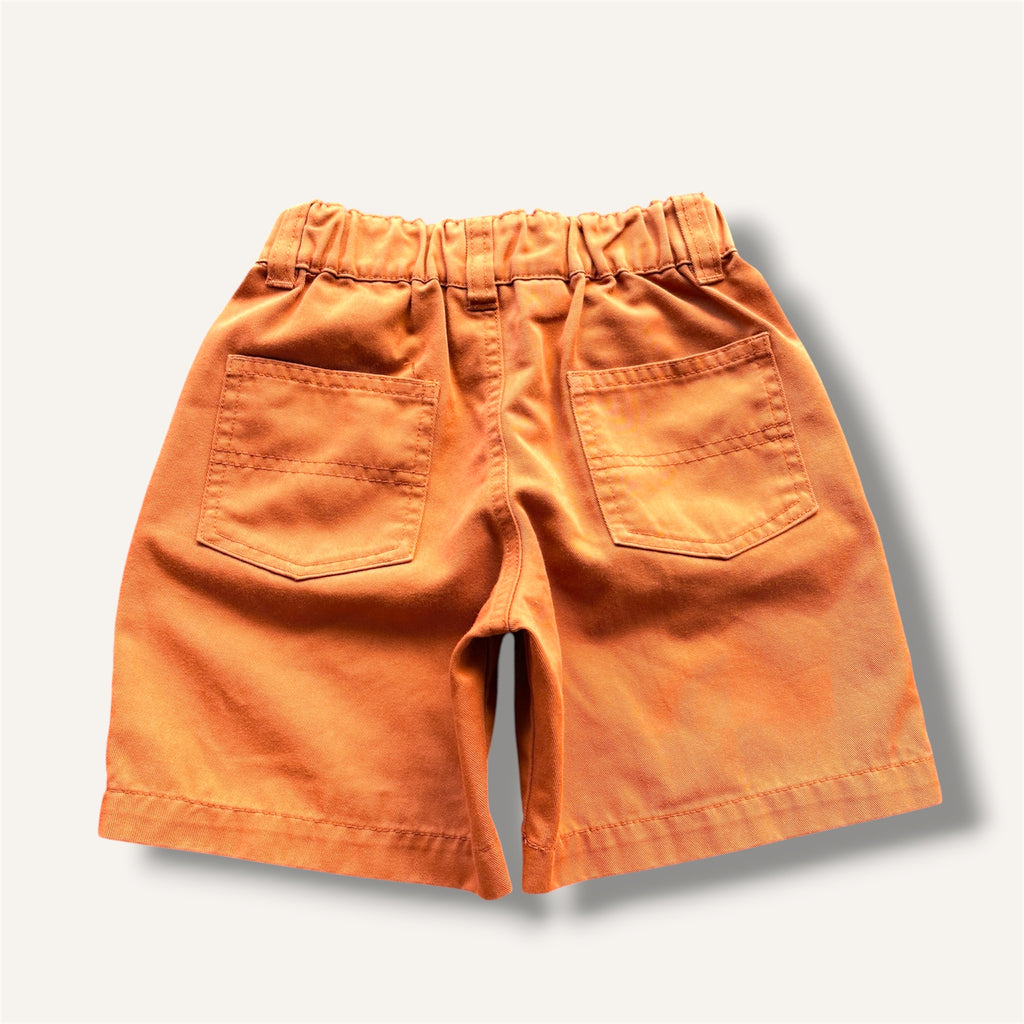 Dickies Rust Shorts (4-5)