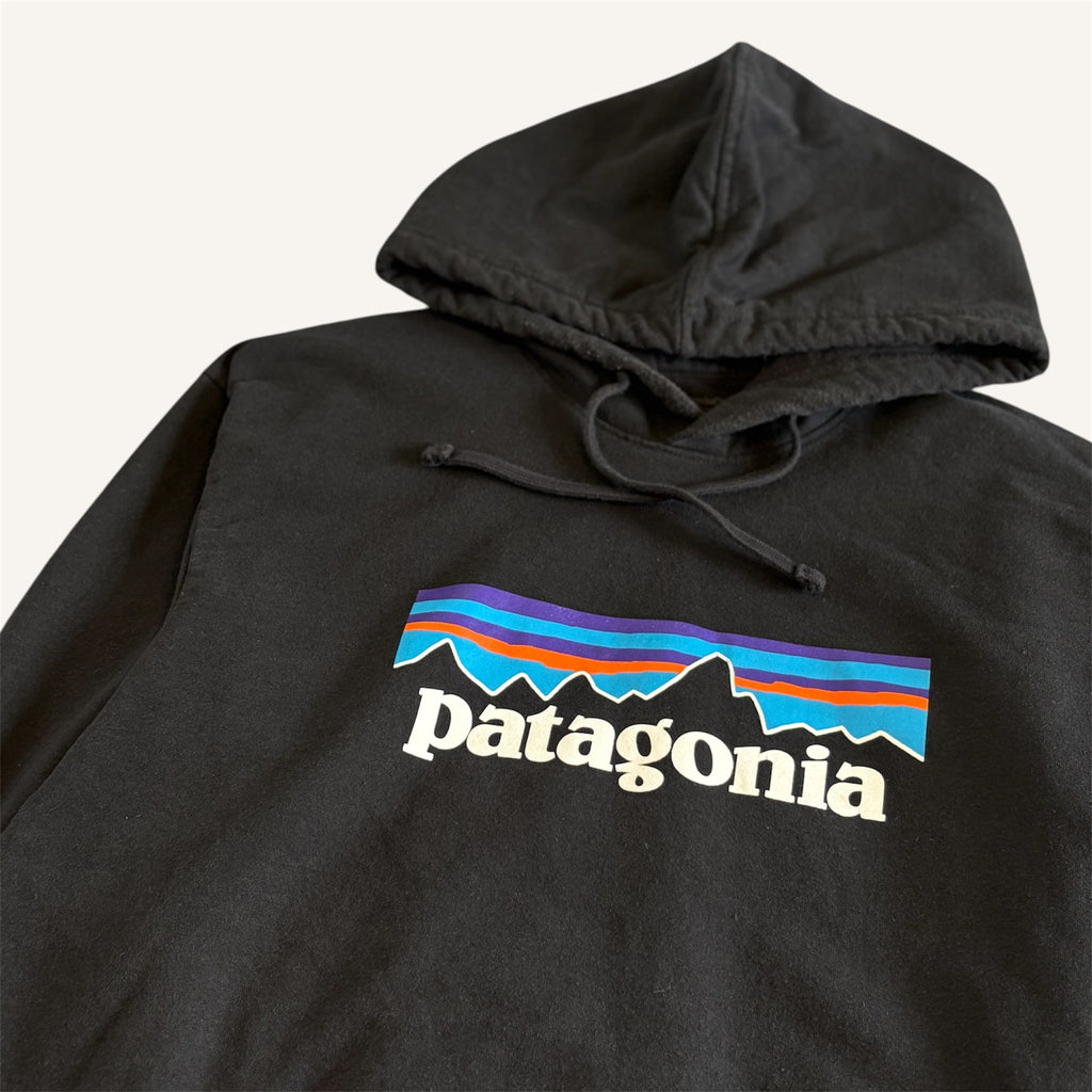 Patagonia Adults Hoodie (Adults Medium)