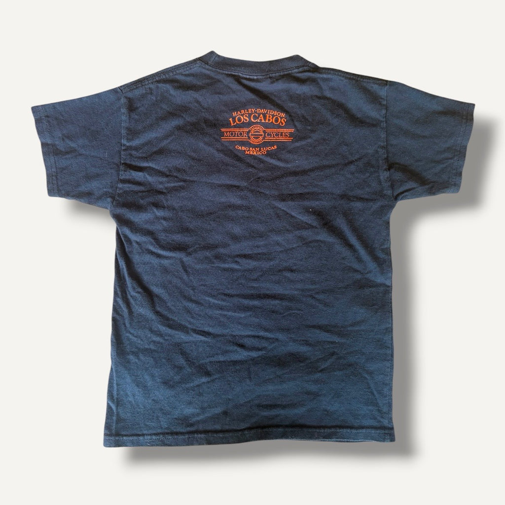 Harley Davidson 110 Years of Fun T-shirt (5/6)