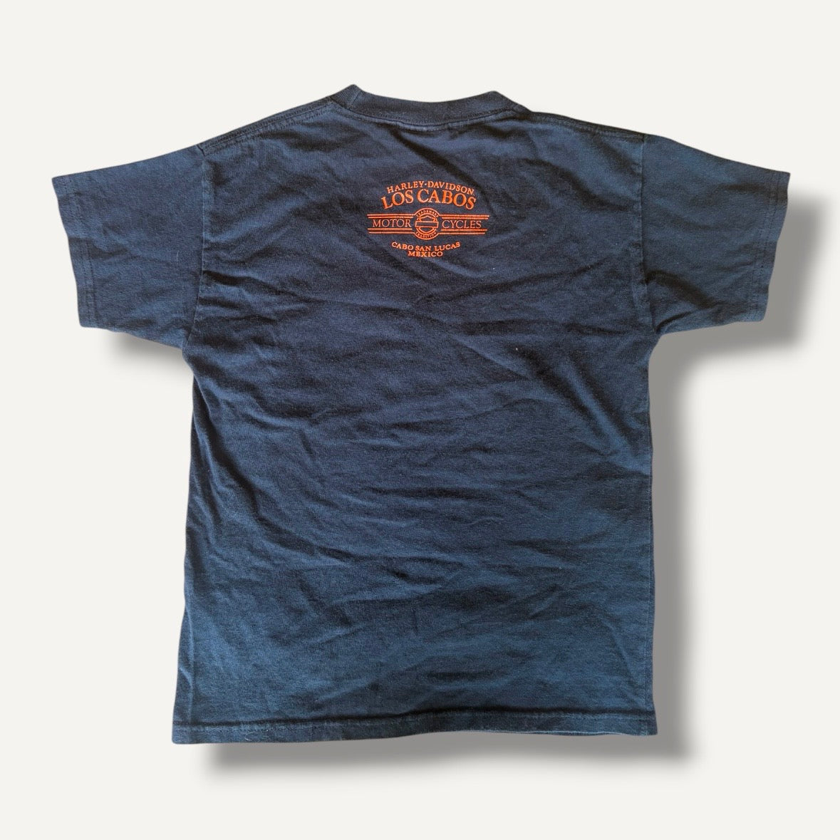 Harley Davidson 110 Years of Fun T-shirt (5/6)