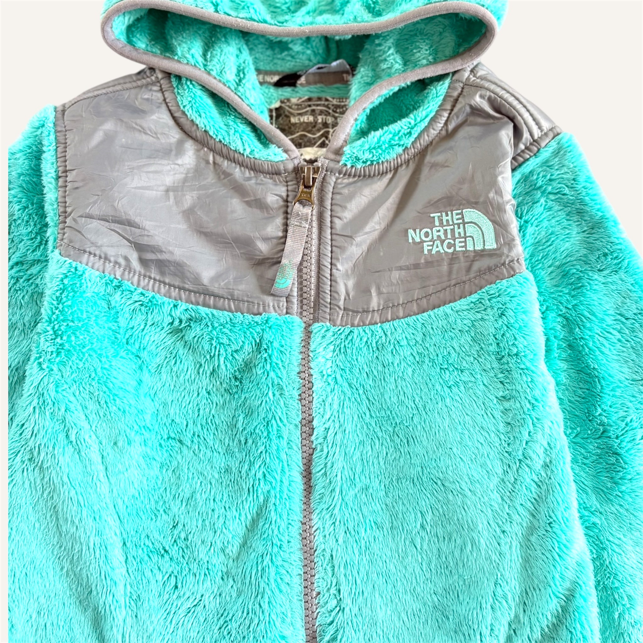Teal Teddy Fleece North Face Jacket (6/7)