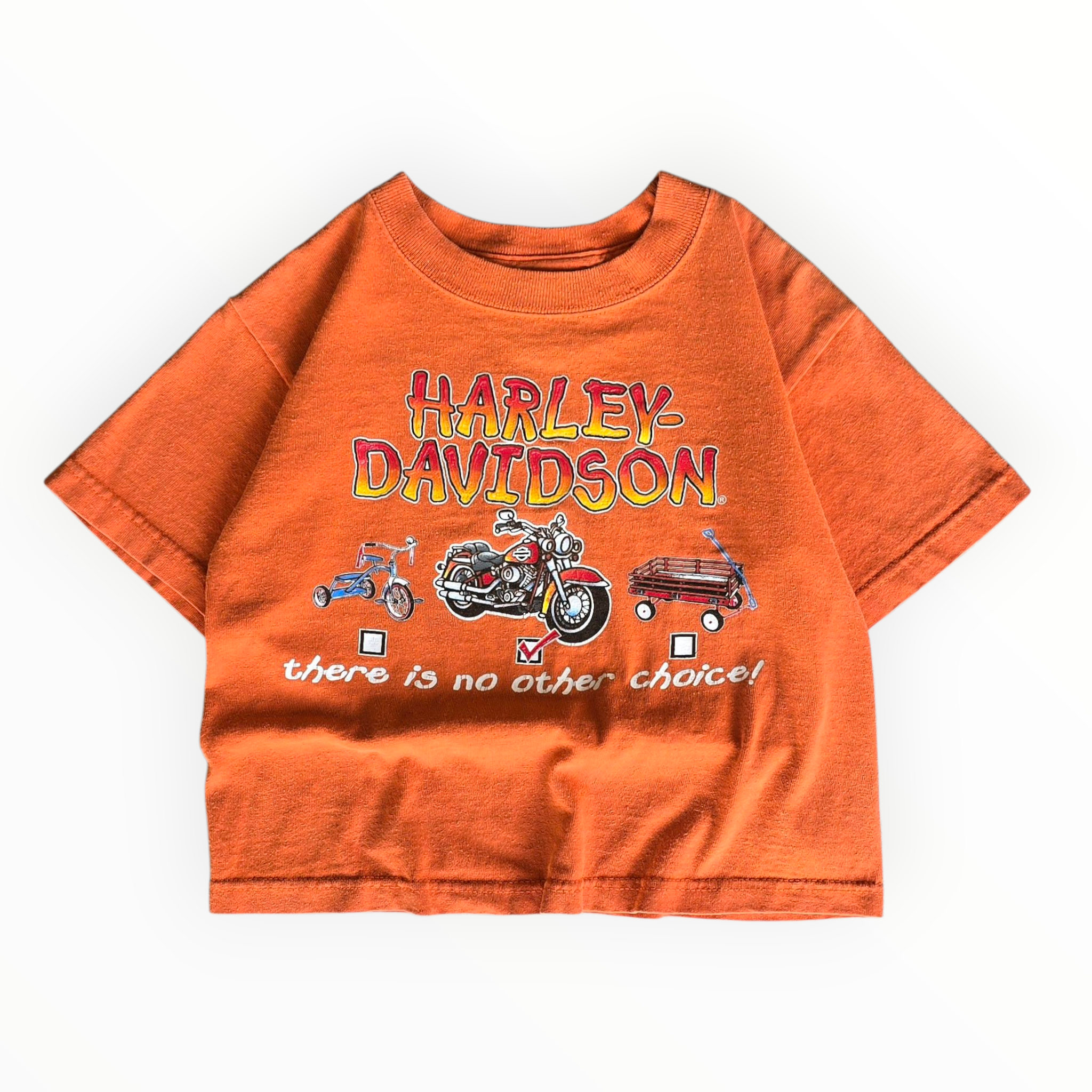 Harley Davidson Check-List Tee (3T)