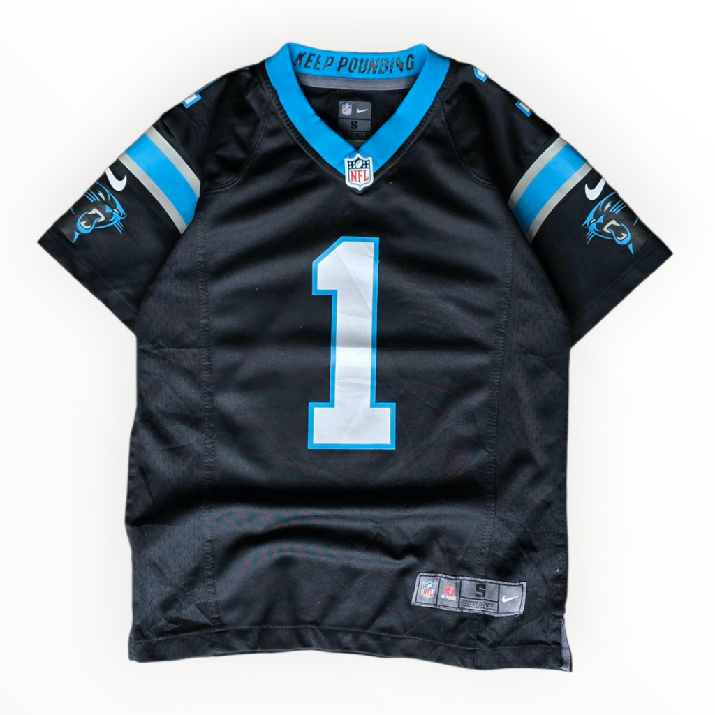 Panthers NFL Jersey (8)