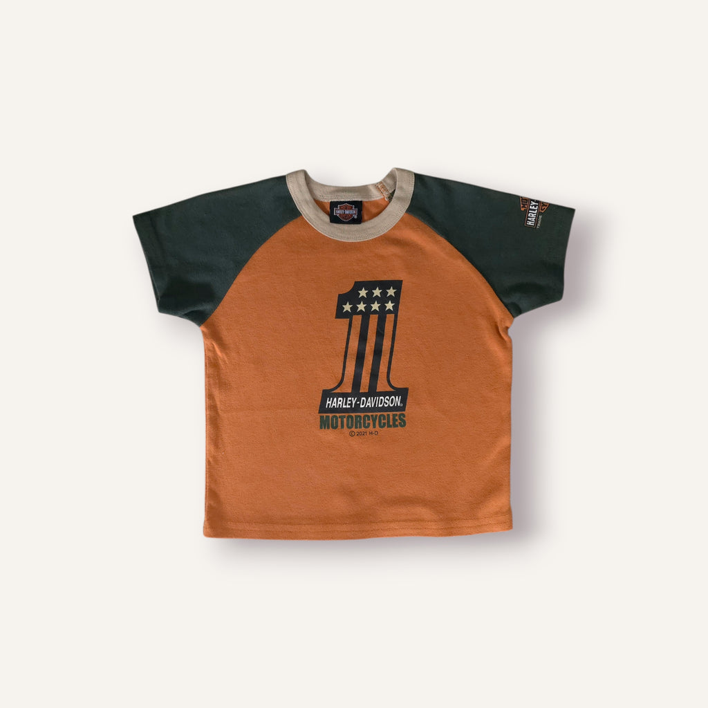 Harley Davidson Earthy Toned Tee (3T)