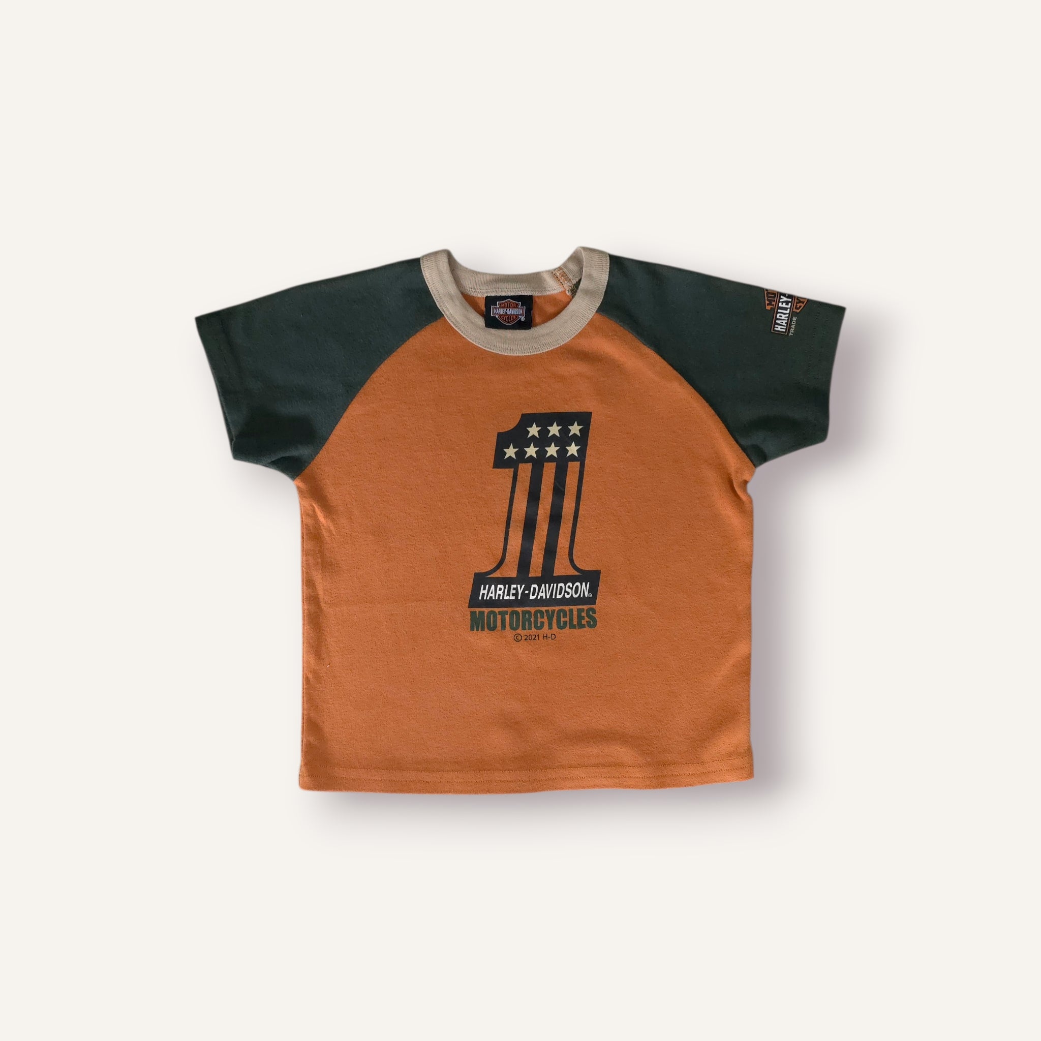 Harley Davidson Earthy Toned Tee (3T)
