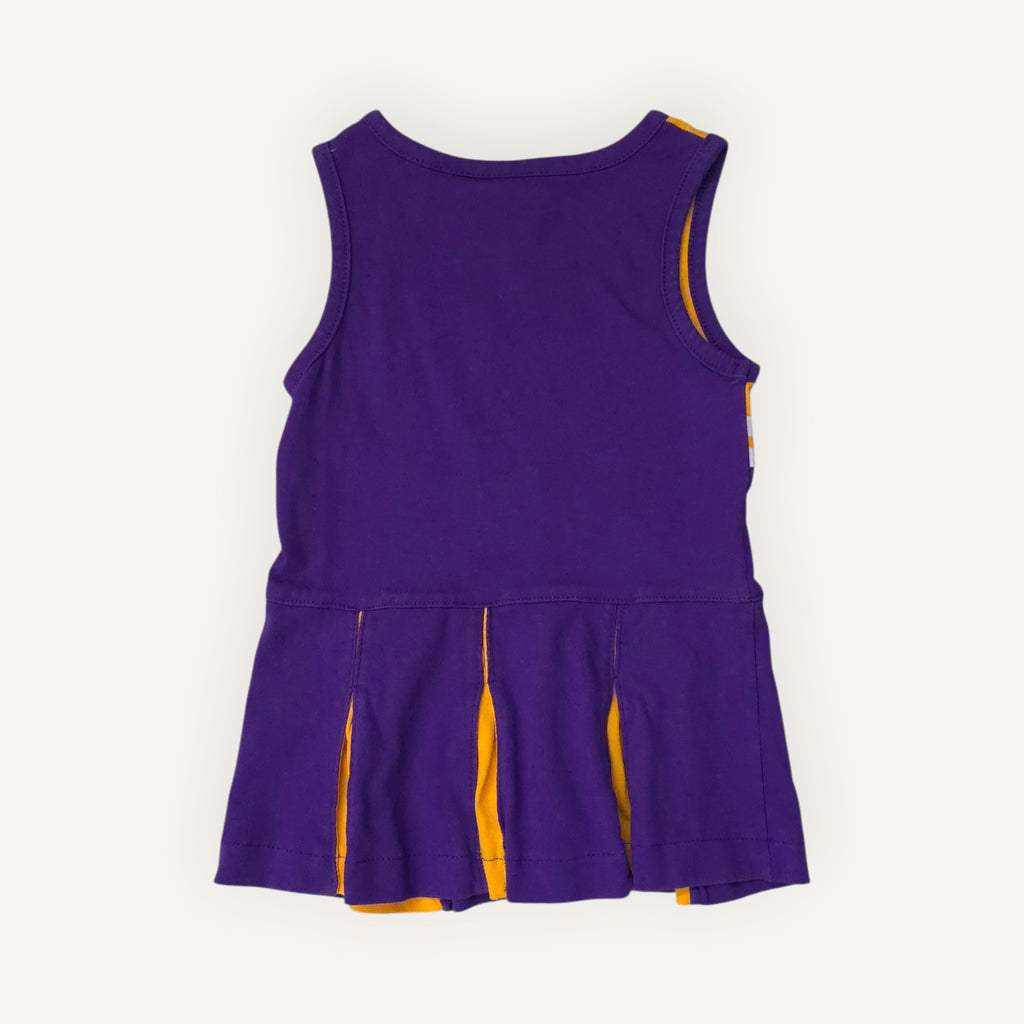 NFL Minnesota Vikings Cheerdress (18/24M)