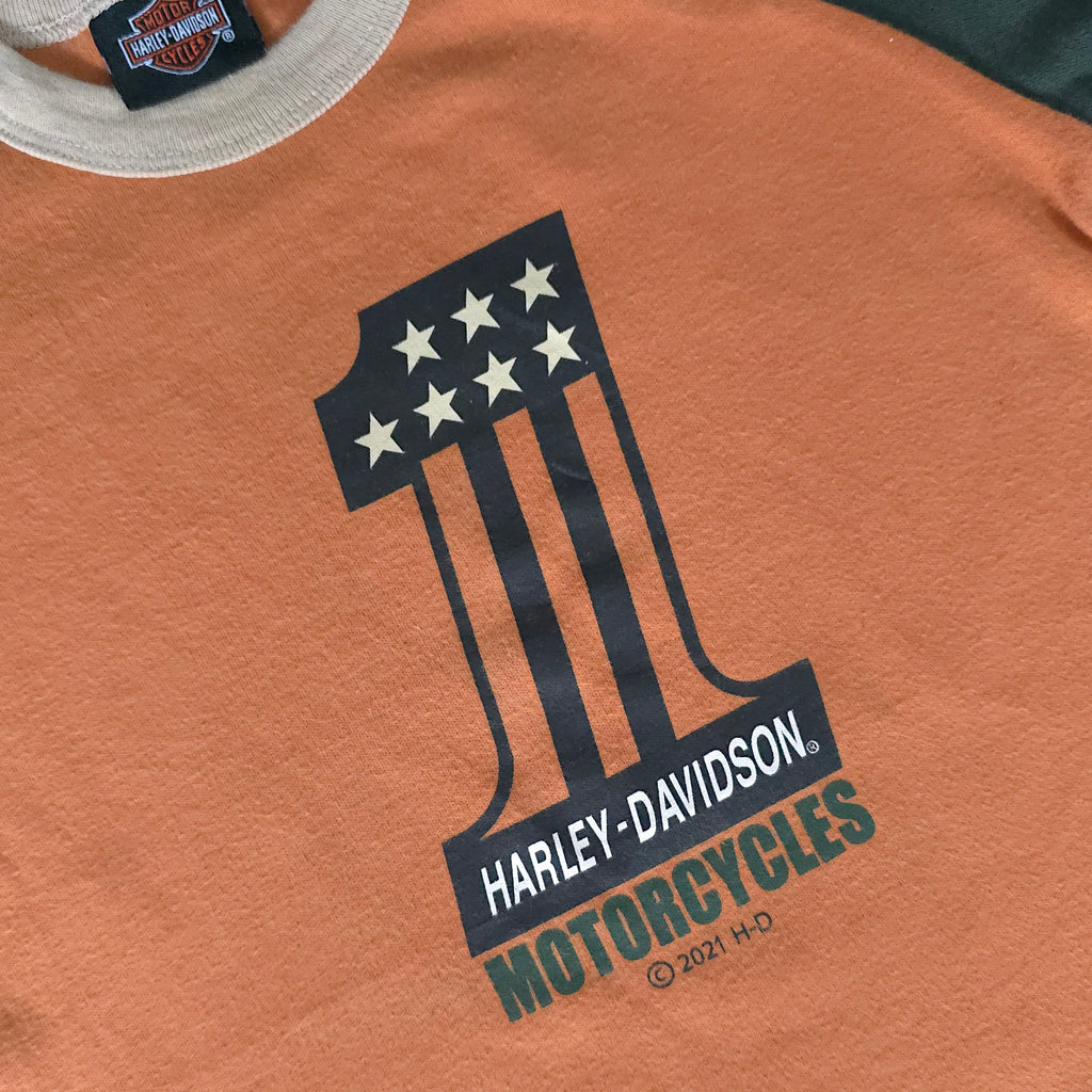 Harley Davidson Earthy Toned Tee (3T)