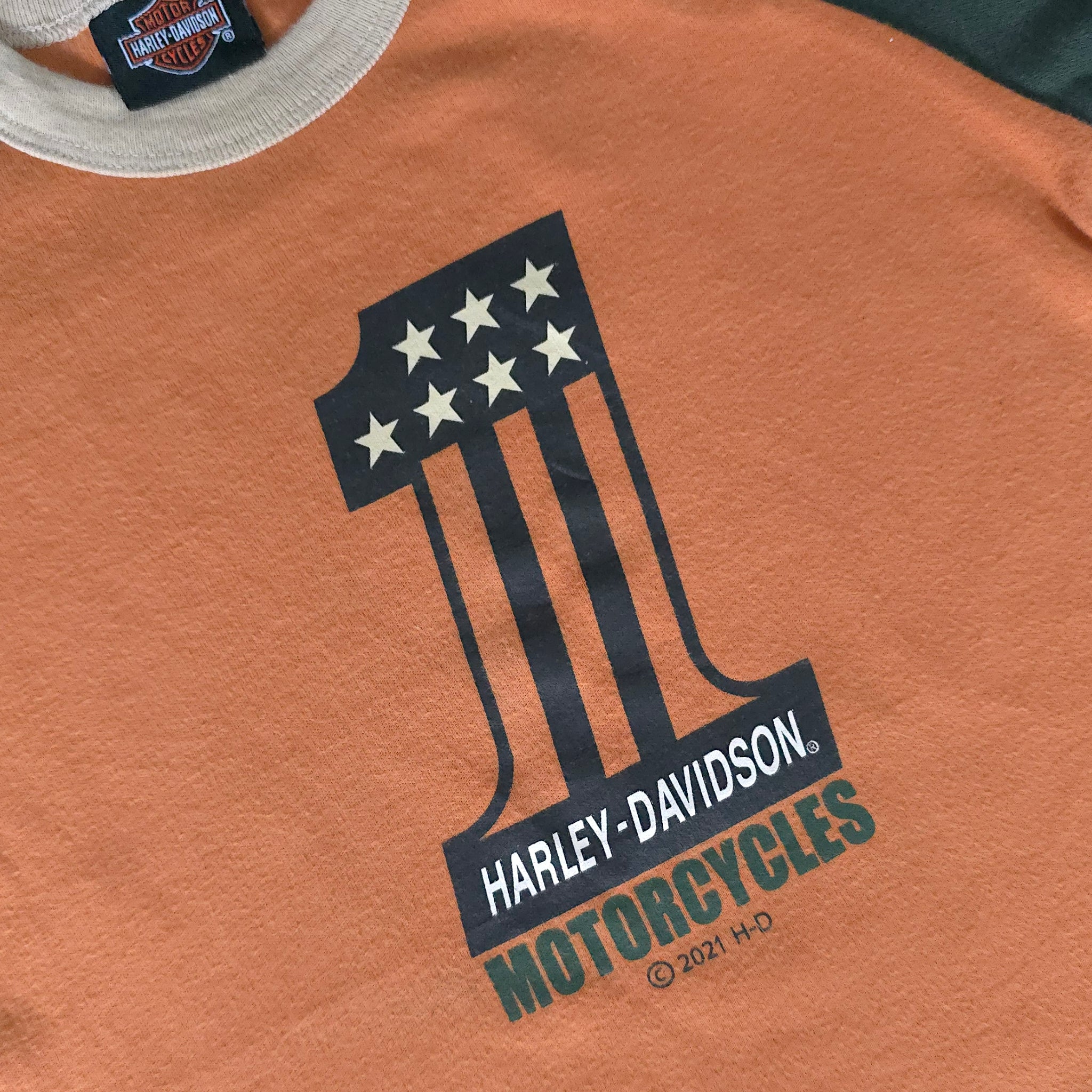 Harley Davidson Earthy Toned Tee (3T)