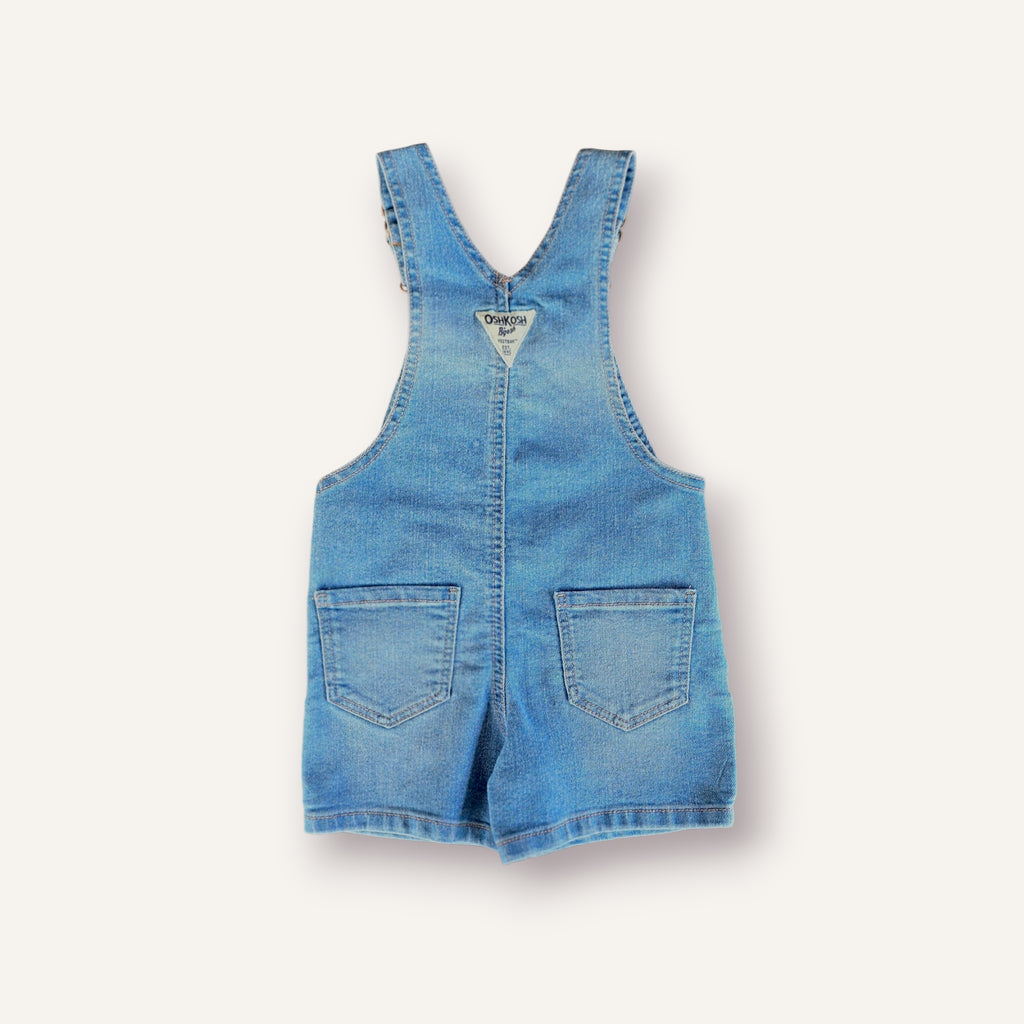 Oshkosh Flower Embroided Denim Shortalls (2T)
