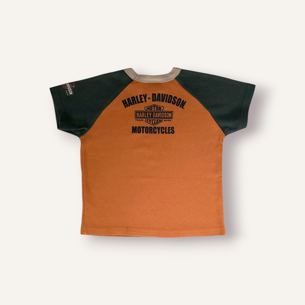 Harley Davidson Earthy Toned Tee (3T)
